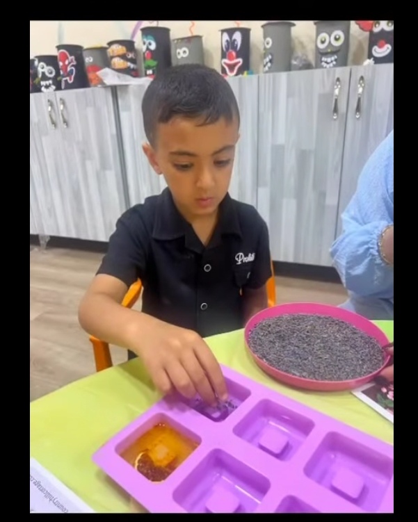 رياض ومدارس الوطن العربي