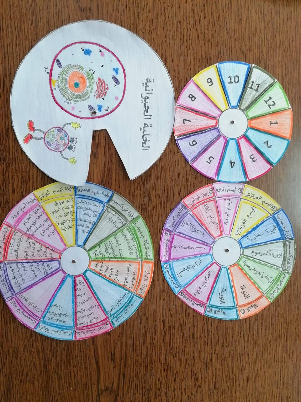 المدارس العمرية