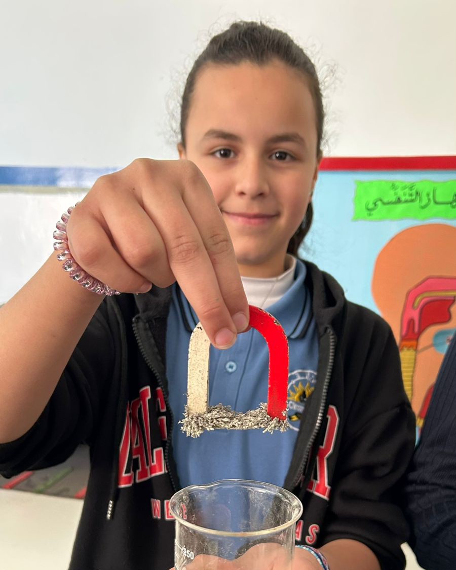 مدارس القمة