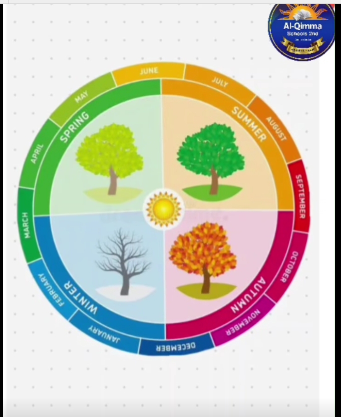 AlQimma schools