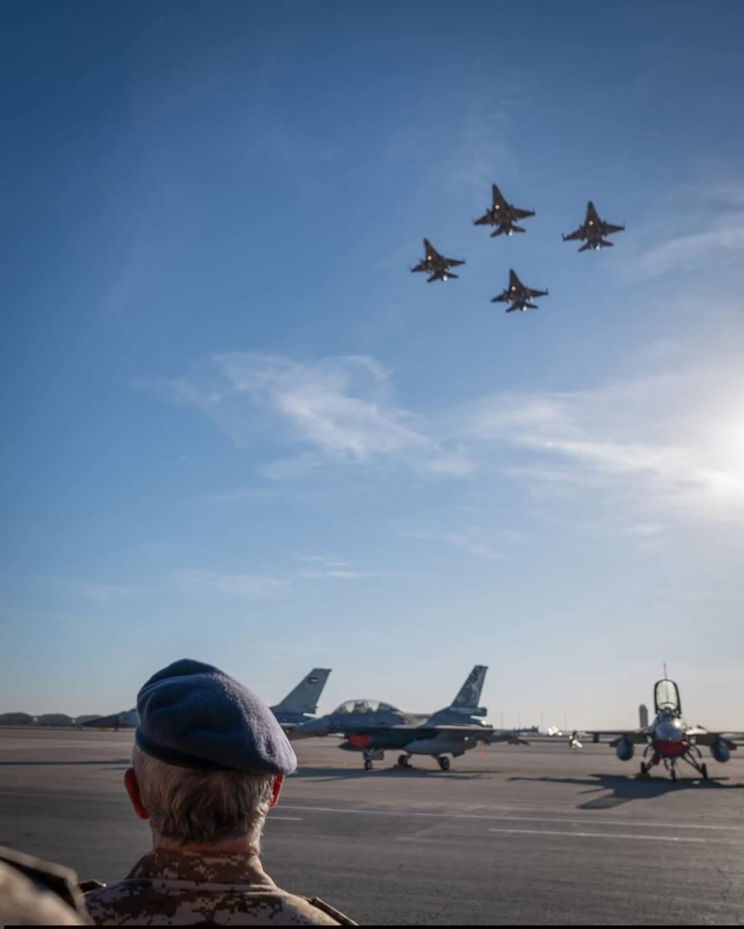 مدارس الفريد النموذجية