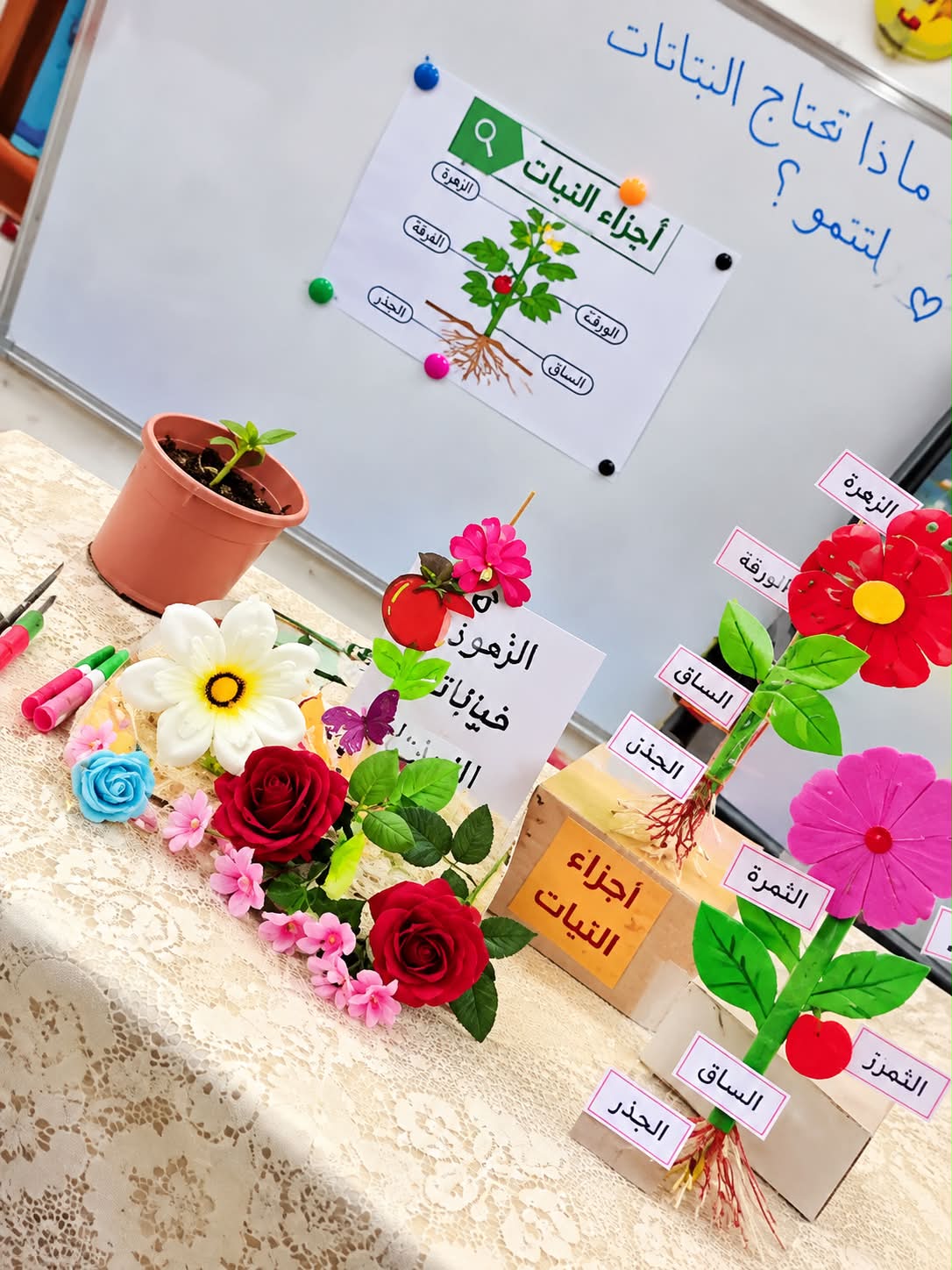 Forqan Secondary Schools