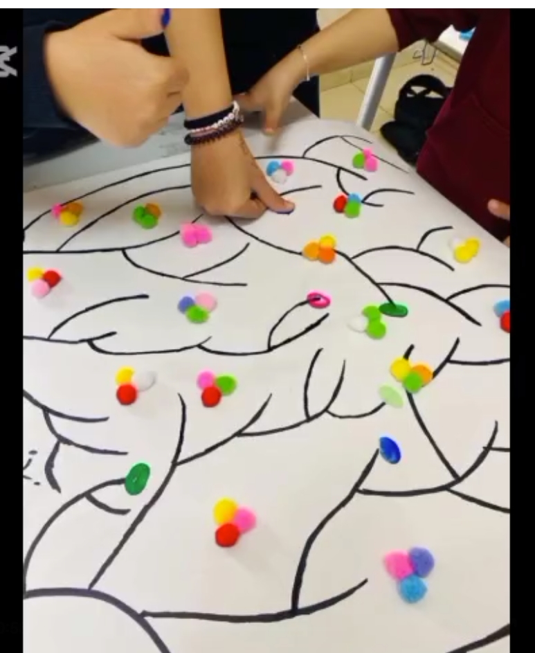 Kingdom Echo Modern Academy