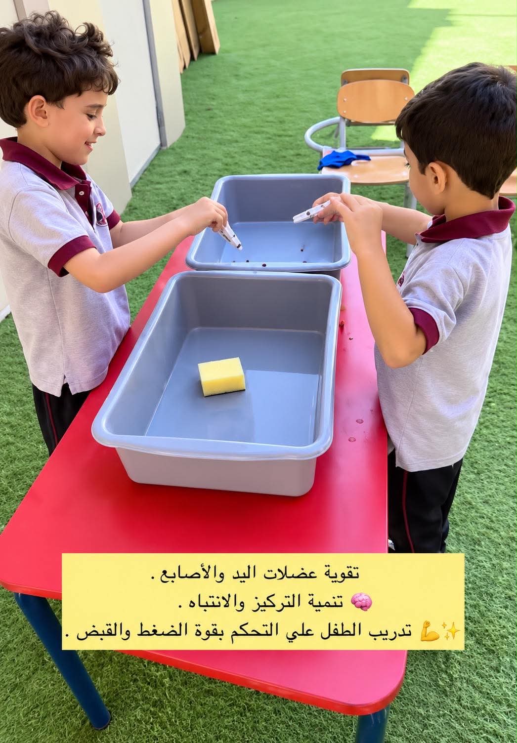 مدارس المحور الدولية