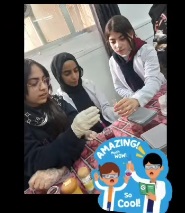 Qirwan Schools