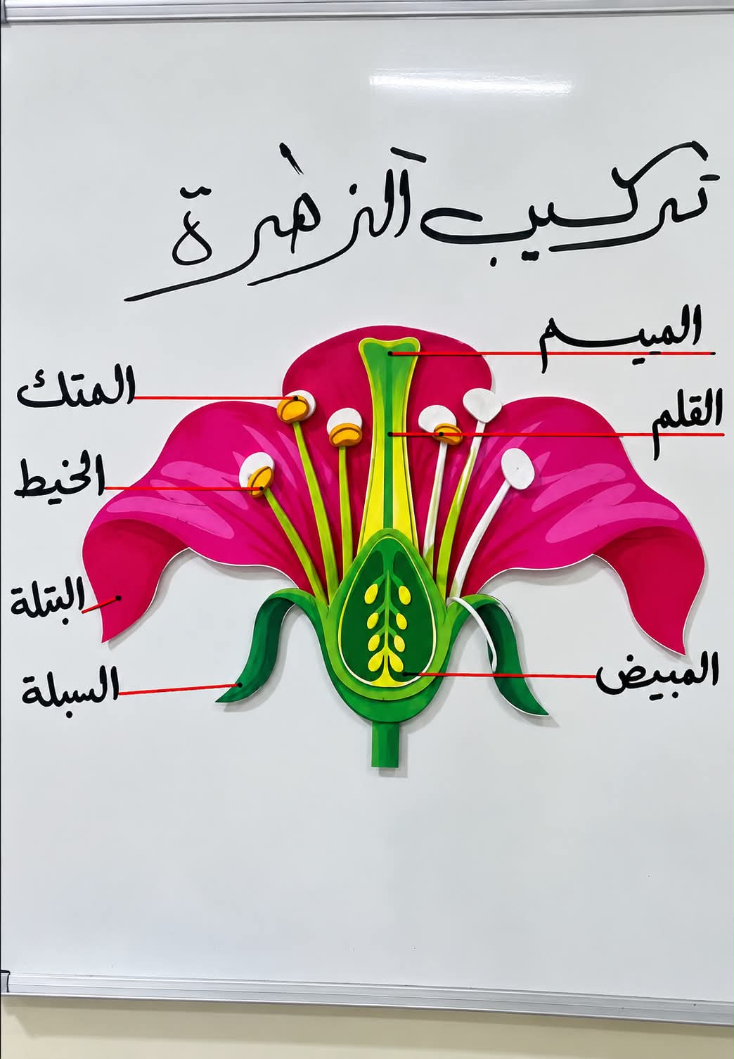 مدارس القيروان النموذجية