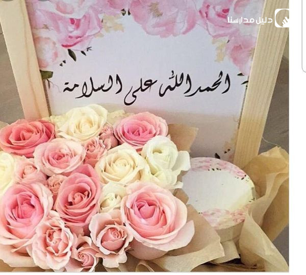 Al-Amani Educational Academy