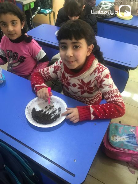 أكاديمية المستقبل المشرق الدولية