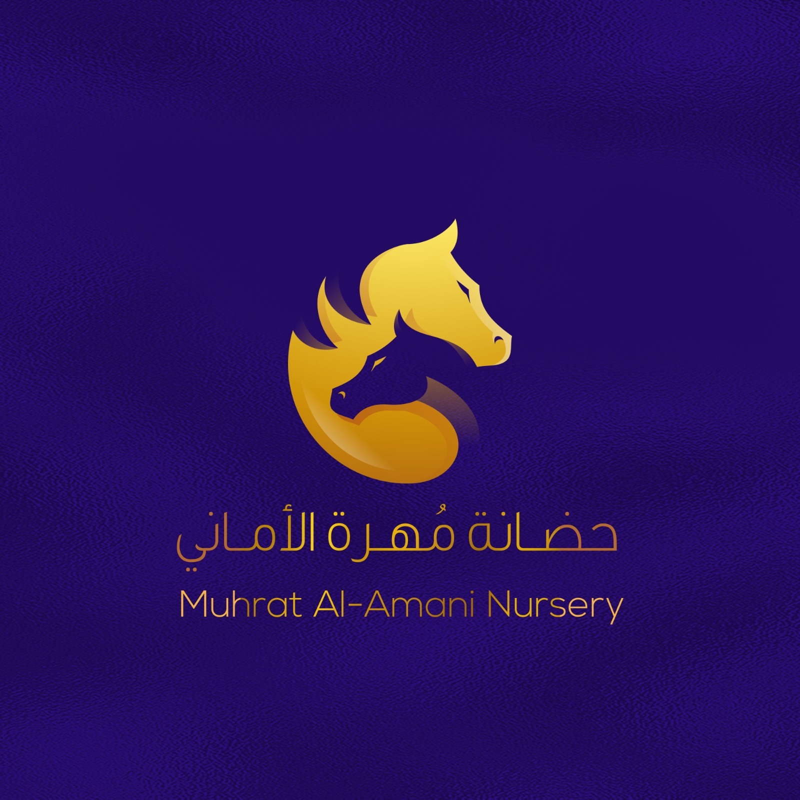 حضانة مهرة الاماني